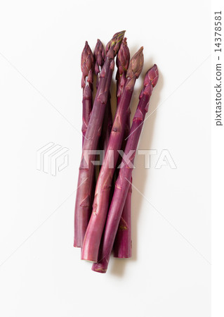 Purple asparagus 14378581