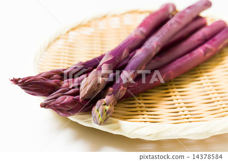 Purple asparagus 14378584