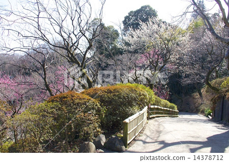 竹園 竹園 14378712