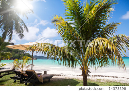 The sun loungers on solaceon the beach. 14378896