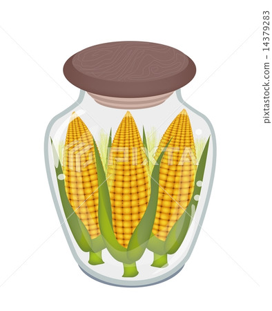 Three Ears of Corn in Glass Bottle 14379283