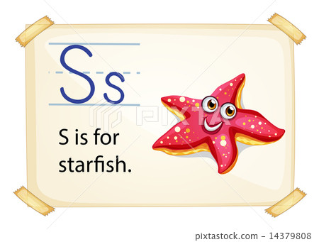 A letter S for starfish A letter S for starfish 14379808