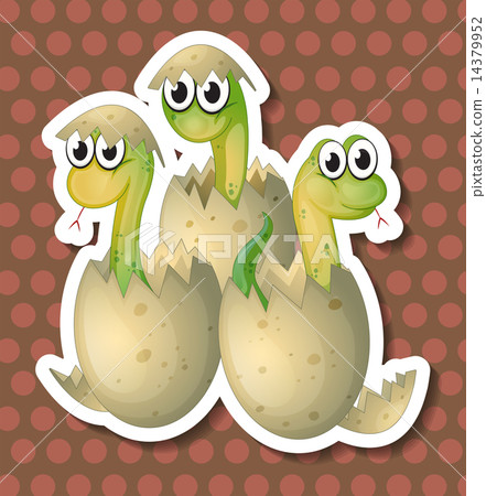 Snakes Snakes 14379952