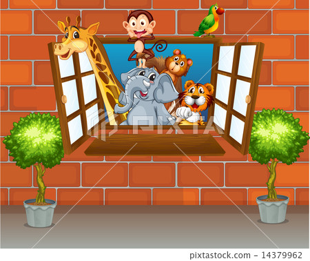 Zoo animals at the window 14379962