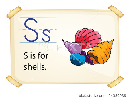 A letter S for shells - Stock Illustration [14380088] - PIXTA