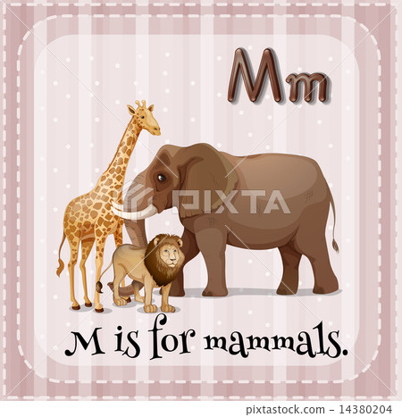 Letter M - Stock Illustration [14380204] - PIXTA