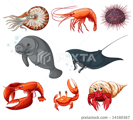 Sea animals Sea animals 14380367