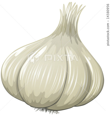 Garlic Garlic 14380956