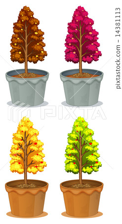 Four pots of plants 14381113