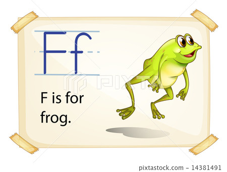 Frog flashcard Frog flashcard 14381491