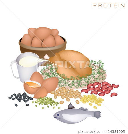Health and Nutrition Benefits of Protein Foods Health and Nutrition Benefits of Protein Foods 14381905