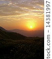Susuki and the dusk of a mountain 14381997