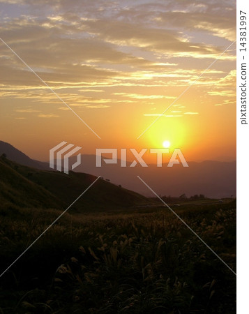 Susuki and the dusk of a mountain 14381997