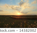 Aso - Susuki and autumn sky 14382002