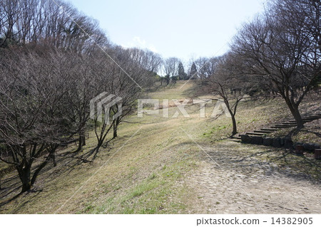 Naganuma Park Hachioji 14382905
