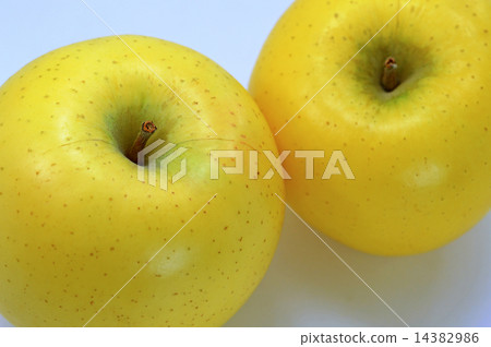 Apple(信濃金) Apple(信濃金) 14382986