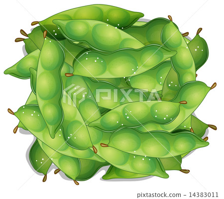 Edamame 14383011