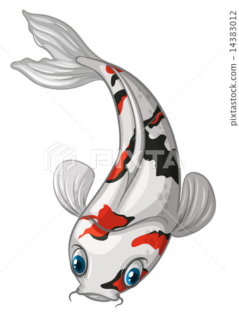 Koi 14383012