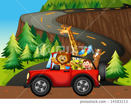 Animals and car 14383213