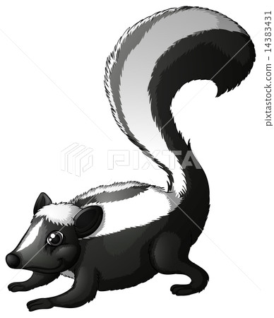 A Zorillo Patagon 14383431