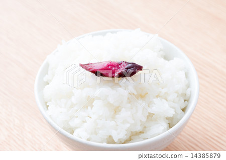 米飯和泡菜 14385879