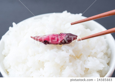 Rice and pickles Rice and pickles 14385883