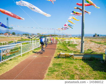 Cycling and carp streamers 14386012