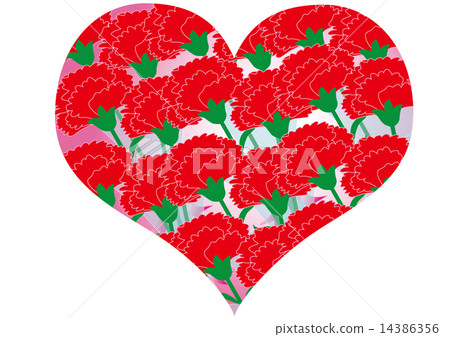  Carnation on Mother's Day 14386356