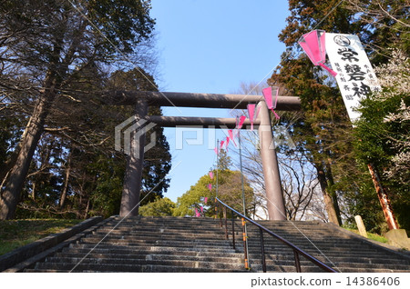 Stone steps / approach roads of Tokiwa Shrine (Tokiwa Town, Mito city, Ibaraki prefecture) 14386406