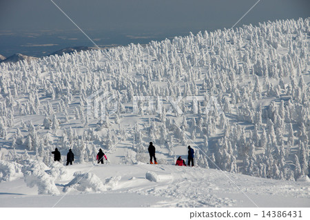 Mt. Hakkoda 11 14386431