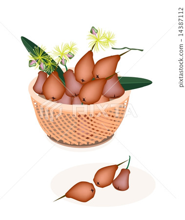Brown Basket of Red Water Apple 14387112