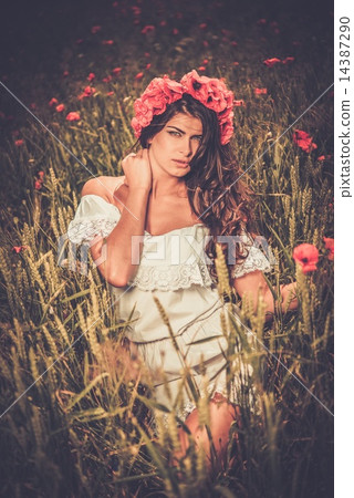 Brunette girl wearing white summer dress and flower chaplet in poppy filed 14387290
