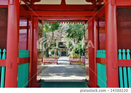 Senba Toshogu Shrine seen from the gate 14388220