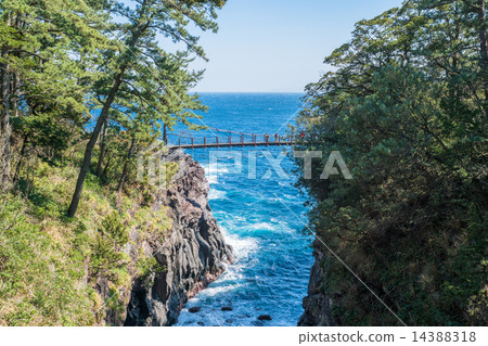 Jogasaki coast, Kadowaki suspension bridge [Shizuoka Prefecture, Izu] 14388318