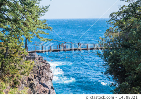 城崎海岸，茅垣吊橋[靜岡縣伊豆] 14388321