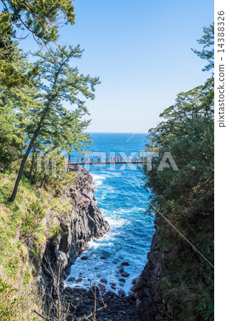 Jogasaki coast, Kadowaki suspension bridge [Shizuoka Prefecture, Izu] 14388326