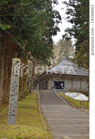 Chusonji Kannodo 14388663