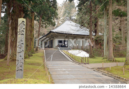 Chusonji Kannodo 14388664