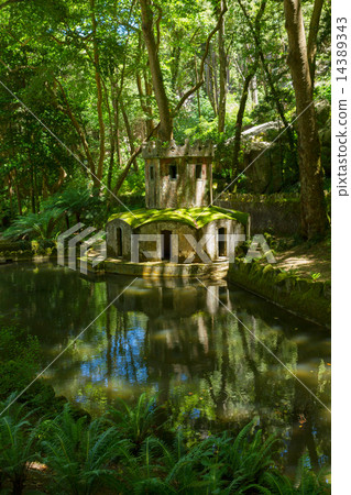 Gardens of Pena, SIntra, Portugal Gardens of Pena, SIntra, Portugal 14389343