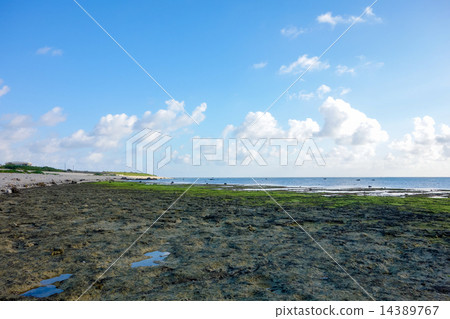 沖繩縣石垣島白濱海岸 沖繩縣石垣島白濱海岸 14389767