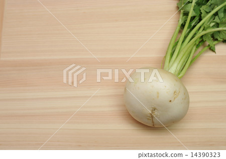 收穫的蘿蔔放在砧板上 14390323