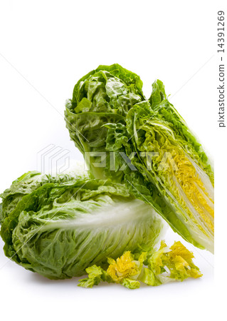 Lettuce hearts isolated Lettuce hearts isolated 14391269
