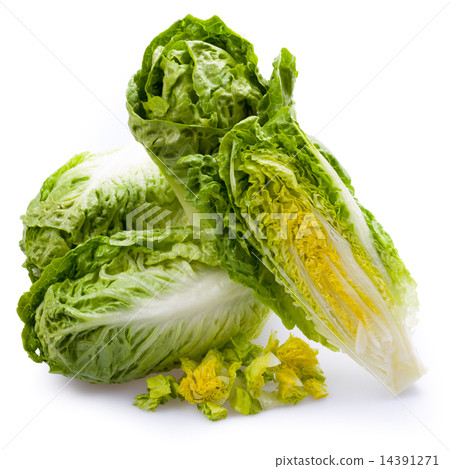 Lettuce hearts isolated Lettuce hearts isolated 14391271