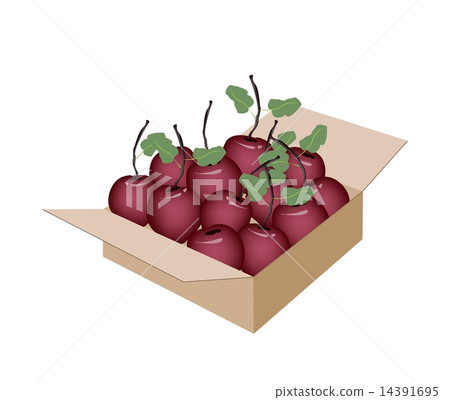 Sweet Fresh Apple in A Shipping Box Sweet Fresh Apple in A Shipping Box 14391695