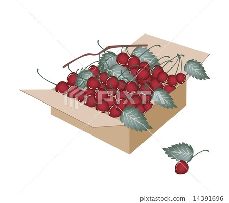 Sweet Red Cherries in A Shipping Box Sweet Red Cherries in A Shipping Box 14391696
