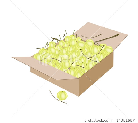 Star Gooseberry Fruits in A Shipping Box Star Gooseberry Fruits in A Shipping Box 14391697