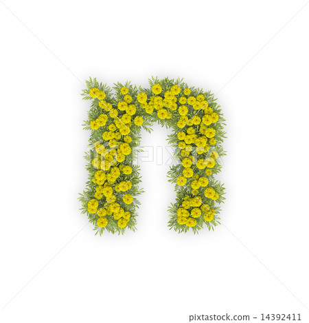 Kikusuku字母表 14392411