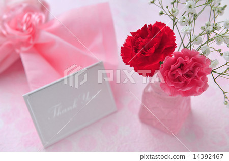 Mother's Day Carnation and Gift Box 14392467