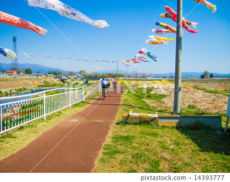 Cycling and carp streamers 14393777