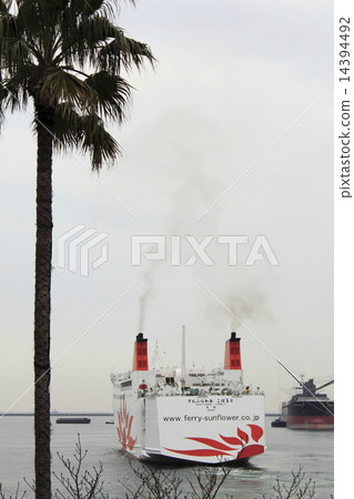 Sakura Wear Lobster 14394492